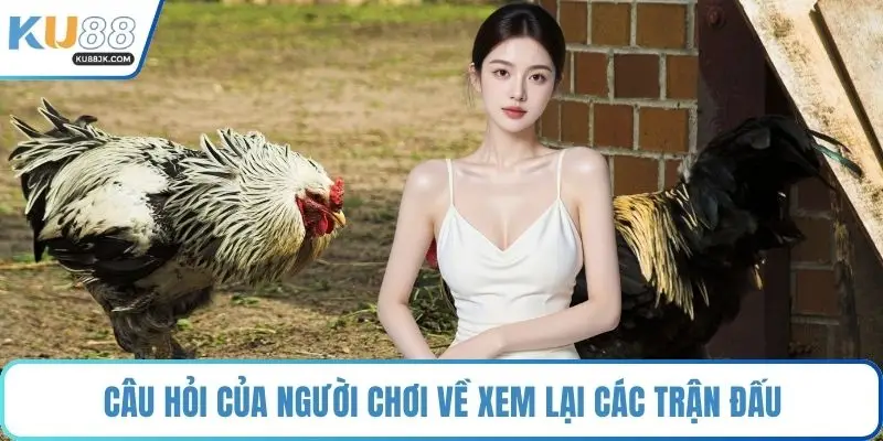 Câu hỏi của người chơi về xem lại các trận đấu