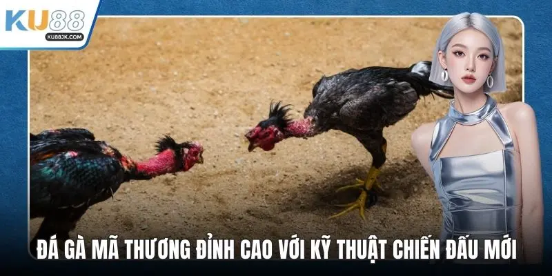 Đá gà mã thương