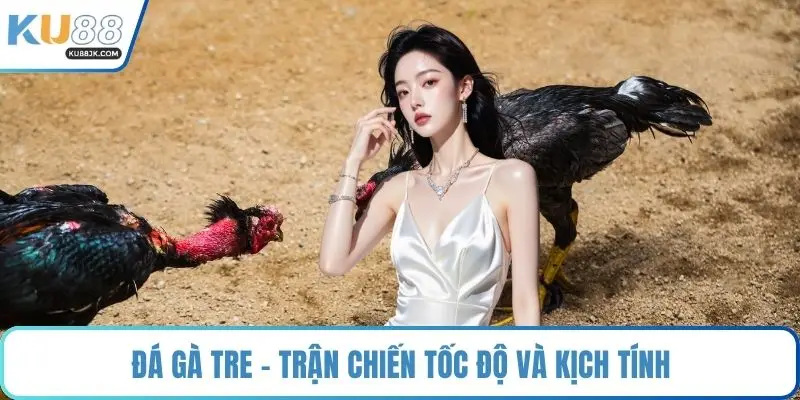 Đá gà tre - Trận chiến tốc độ và kịch tính
